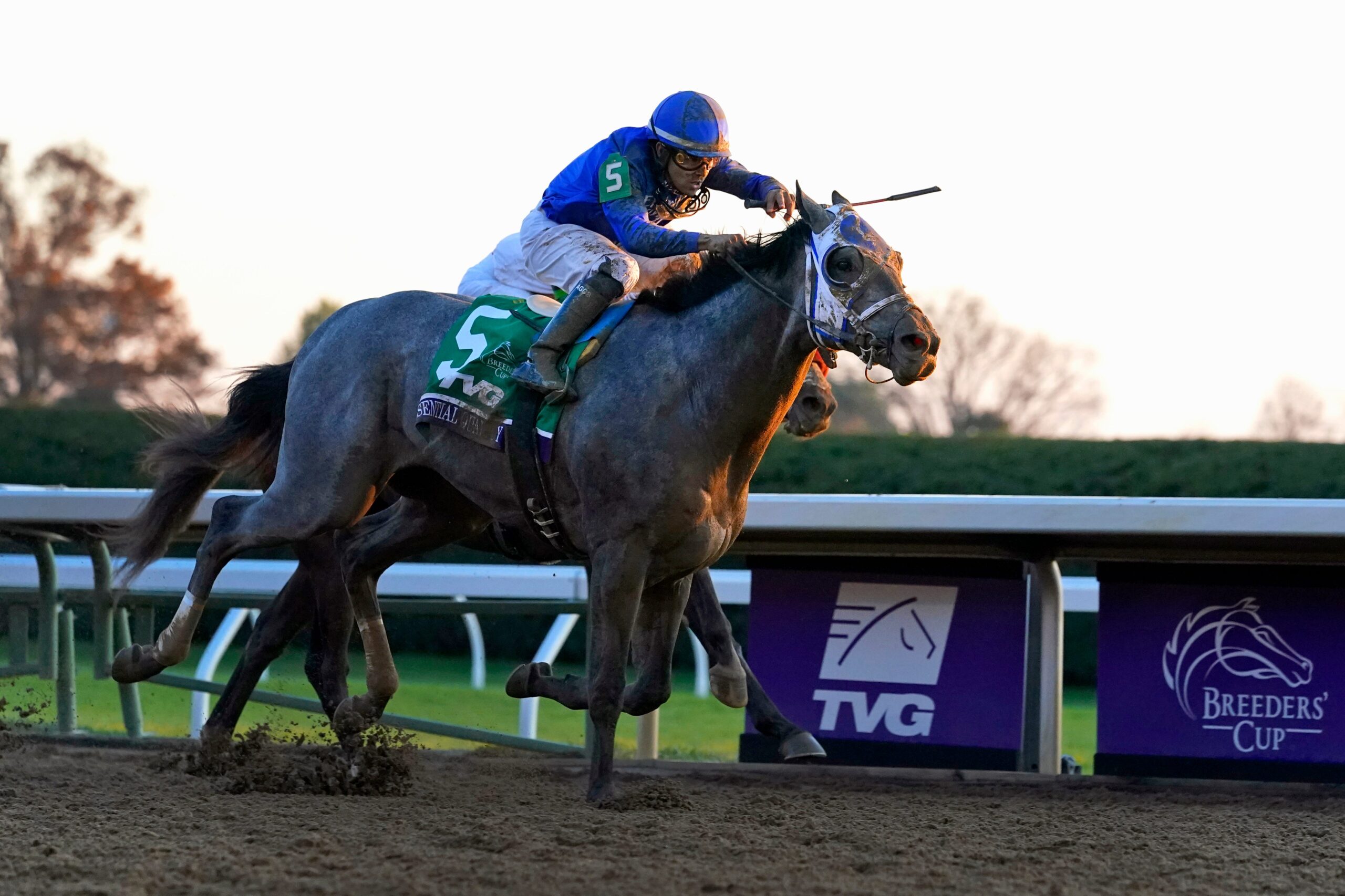 Are All Kentucky Derby Horses Male