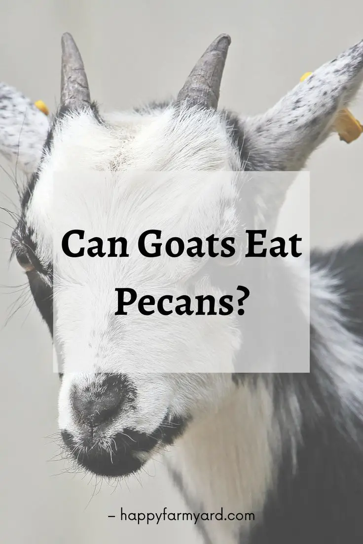 Can Goats Eat Crepe Myrtle