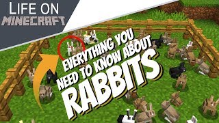 Can Rabbits Jump Over Fences Minecraft
