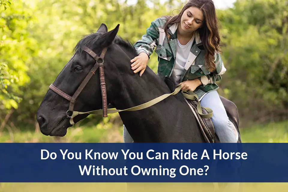 Can You Ride a Horse