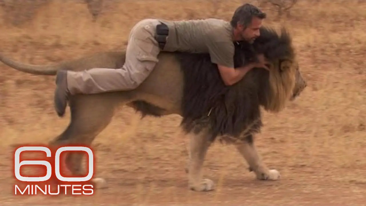 Can You Ride a Lion