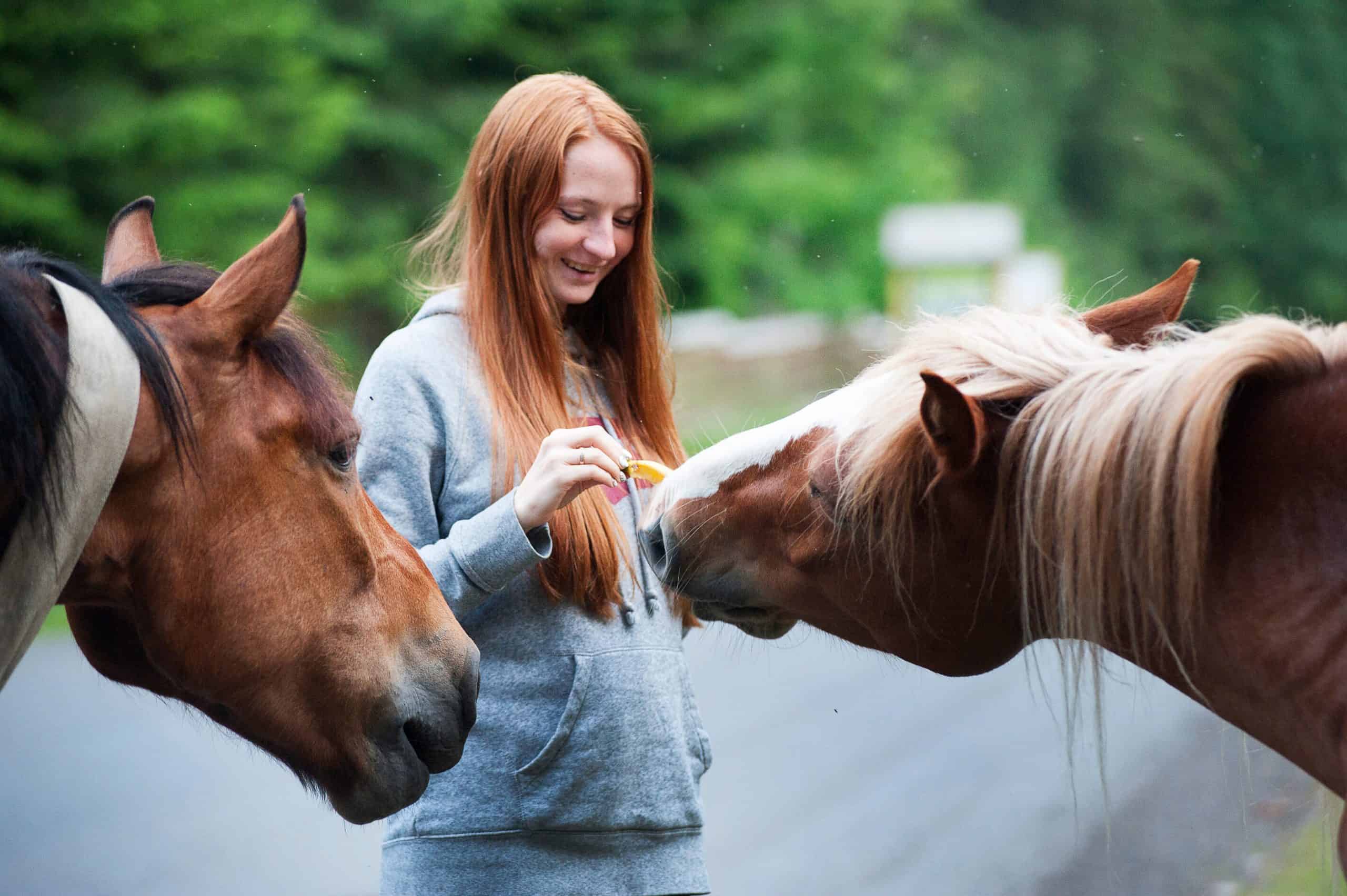 Do Horses Have a Favorite Person