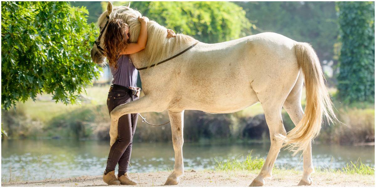 Do Horses Like Being Pet