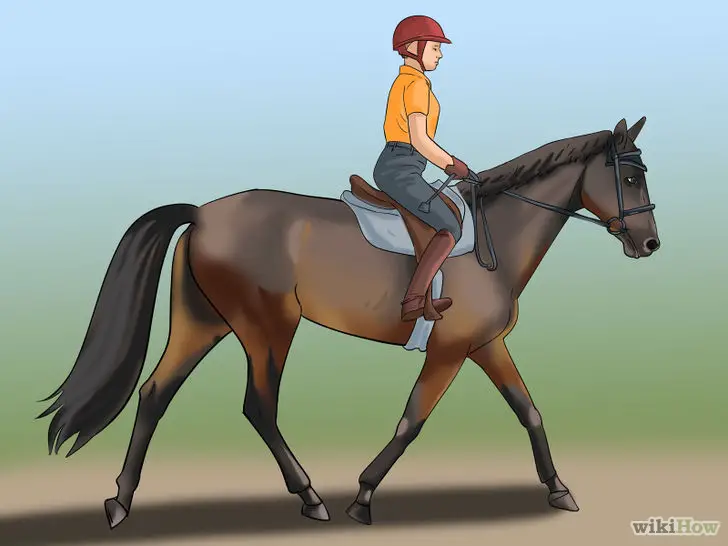 Does Horseback Riding Make Your Bum Bigger
