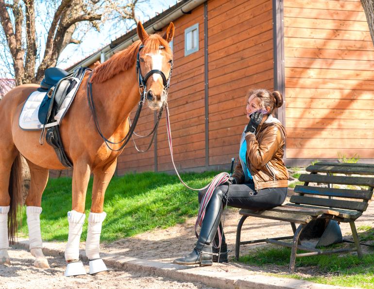 How Does Leasing a Horse Work
