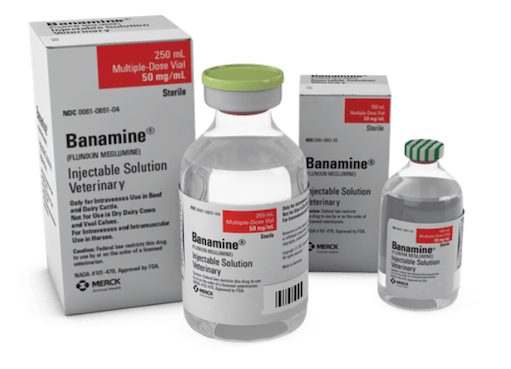 How Much Banamine to Give a Horse for Colic