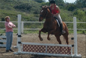 How Much Do Horse Riding Lessons Cost