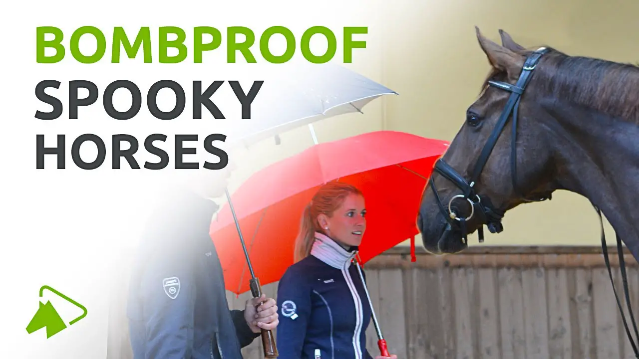 How to Bombproof a Spooky Horse