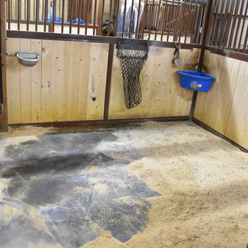 How to Clean Horse Stall Mats