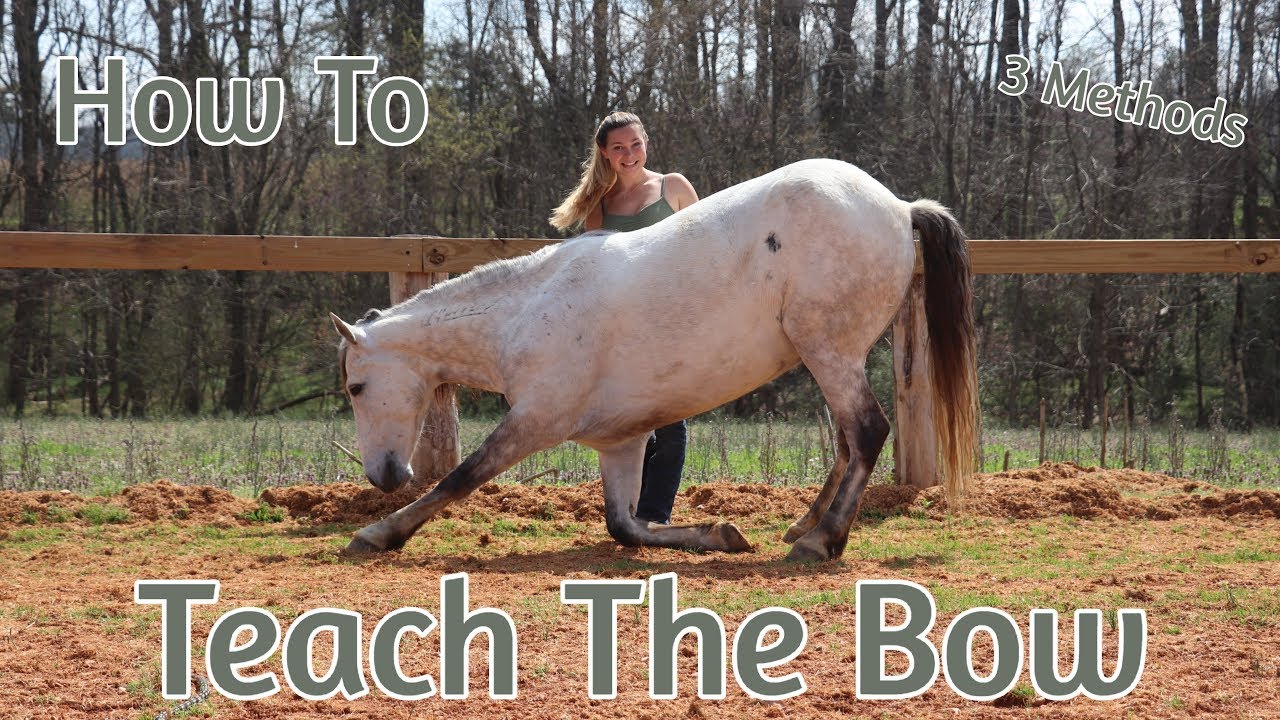 How to Teach a Horse to Bow
