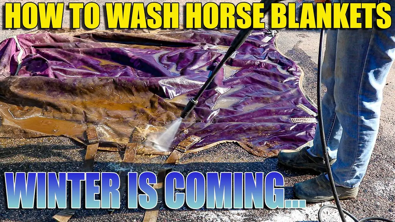 How to Wash Horse Blankets