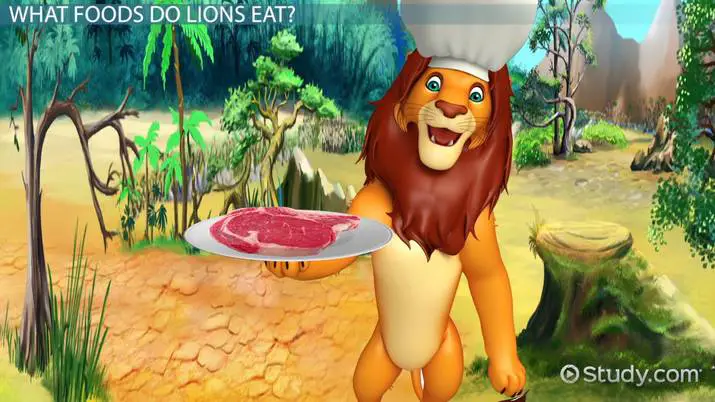 Is a Lion a Consumer