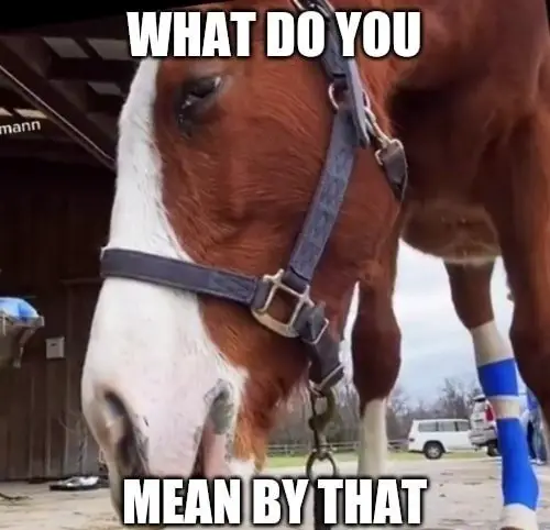 What Do You Mean by That Horse