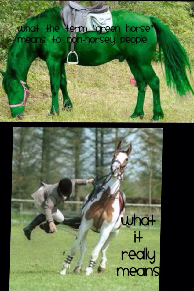 What Does a Green Horse Mean