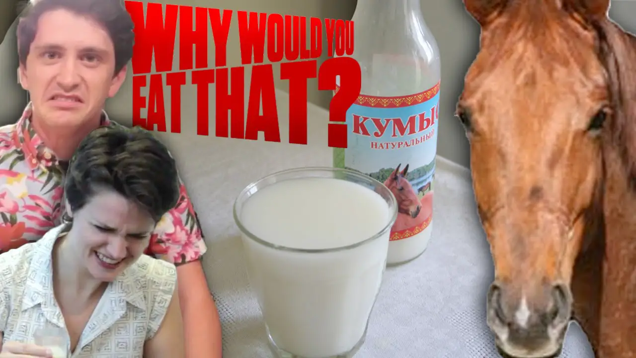 What Does Horse Milk Taste Like