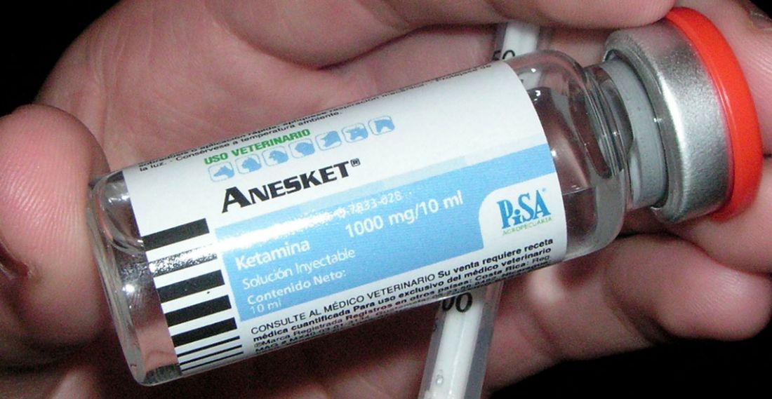 What is Ketamine Used for in Horses