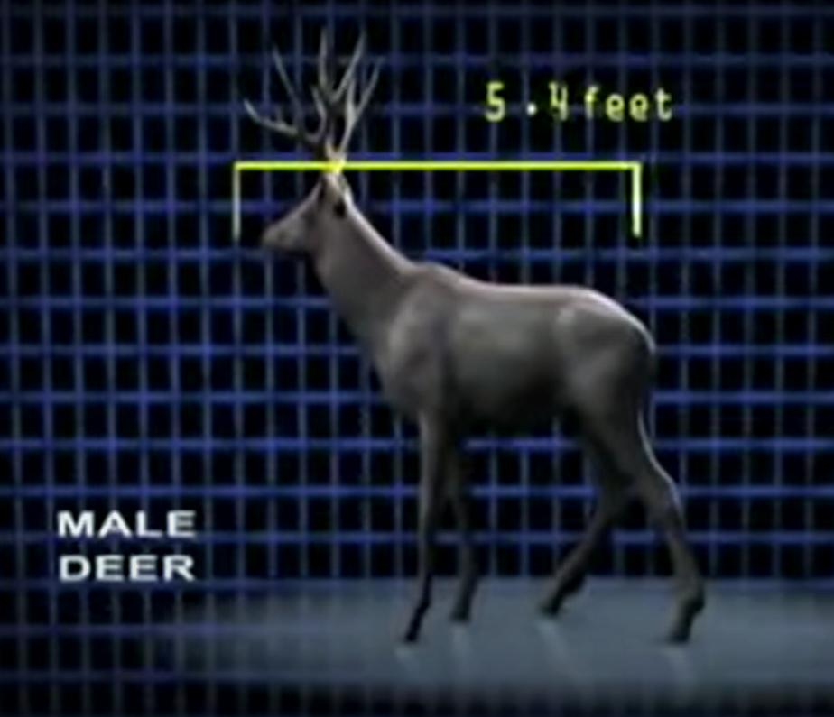 Factors Influencing Deer Aggression
