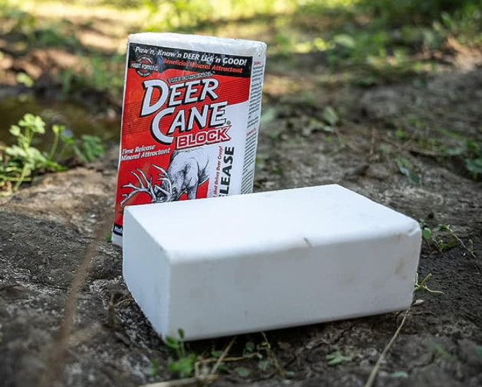 What Is Deer Cane?