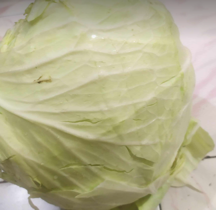 Cabbage As A Nutritious Food Source For Deer