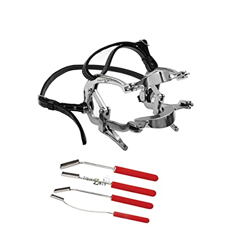 Best Bit for Horse That Opens Mouth