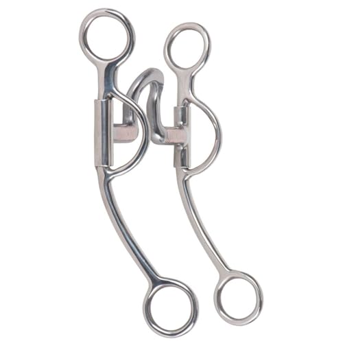 Best Bit for Horse That Shakes Head