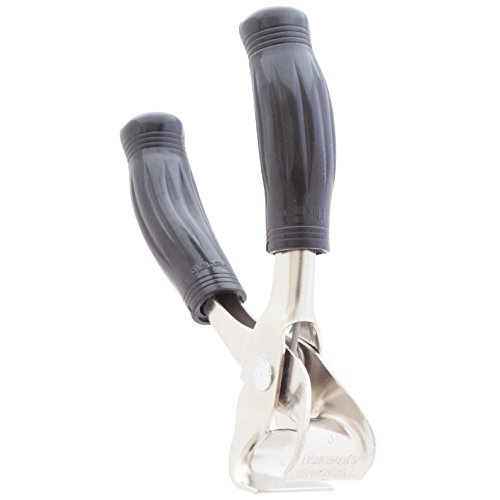 Best Bowfishing Gear for Beginners