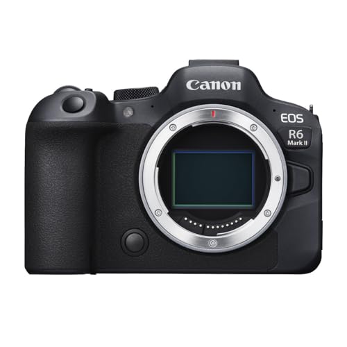 Best Cameras for Filming Hunts
