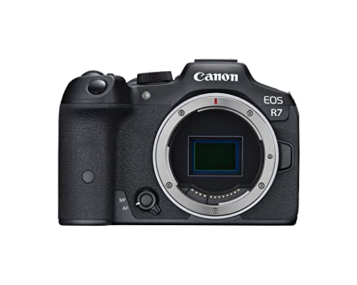 Best Cameras for Wildlife Photography