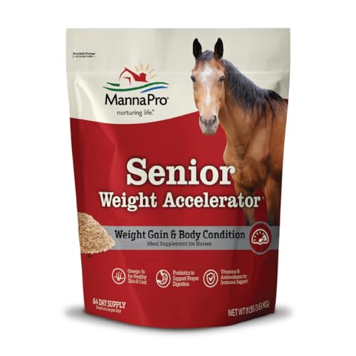 Best Feed for Horses in Winter