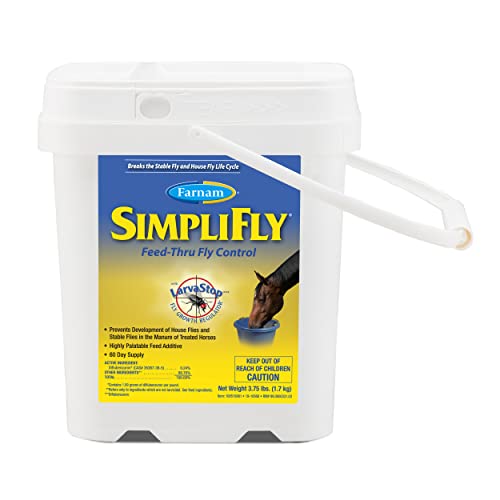 Best Feed for Nervous Horses