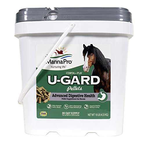 Best Feed for Ulcer Prone Horses