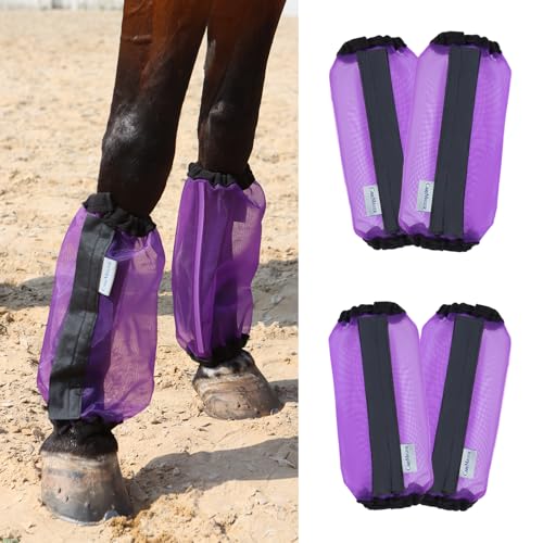 Best Fly Leg Wraps for Horses