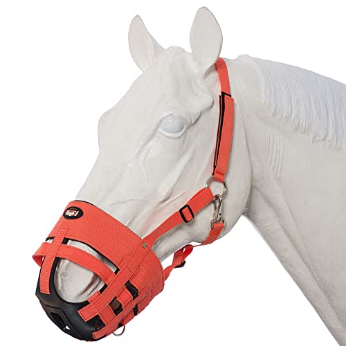 Best Grazing Muzzles for Horses
