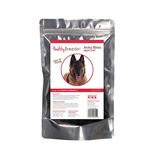 Best Dog Food for Belgian Tervuren