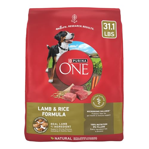 Best Dog Food for Bernedoodles