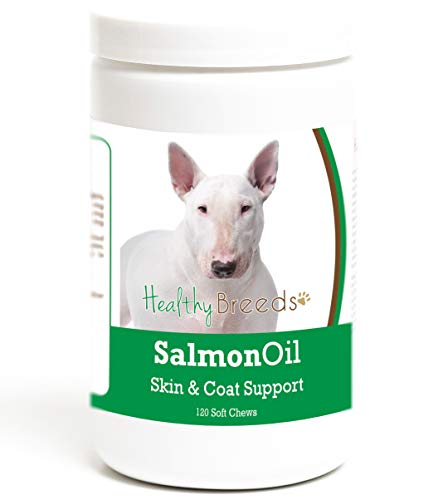 Best Dog Food for Bull Terriers