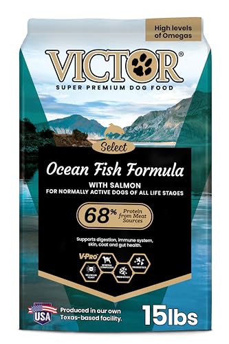 Best Dog Food for Irish Setters