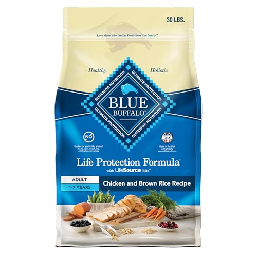 Best Dog Food for Labradoodles