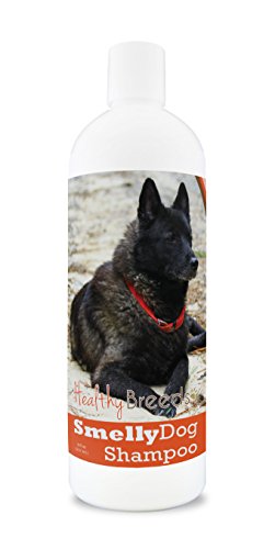 Best Dog Food for Norwegian Elkhounds