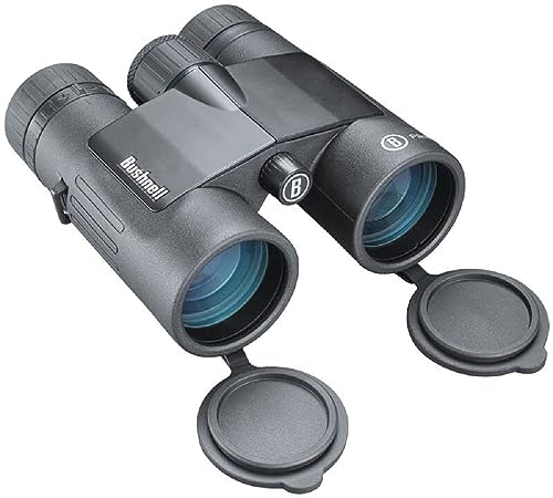 Best 6 Binoculars for Bird Watching Expert Guide for Every Birder