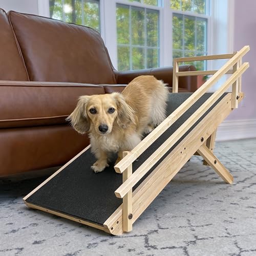Best Bed Ramp for Small Elderly Dog Over $200
