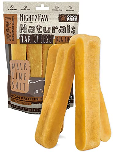 Best Long Lasting Dog Chews