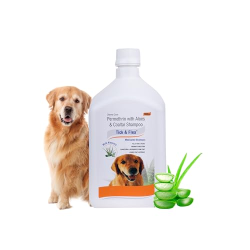 Best Shampoos for Labs