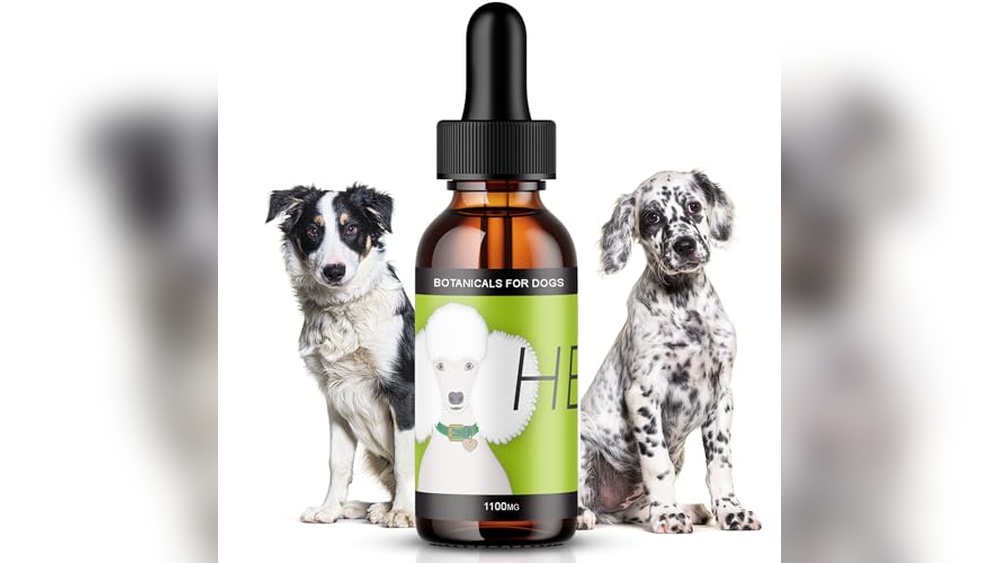 Best Dog Cbd Oil for Seizures
