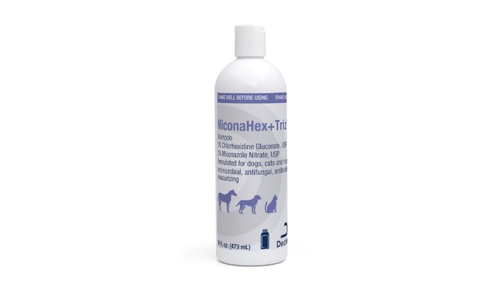 Best Dog Shampoos Dry Skin Dandruff