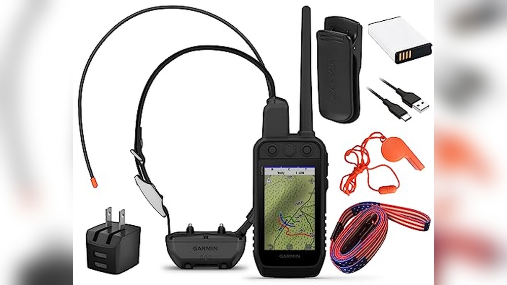 Best Hunting Dog Training Collar