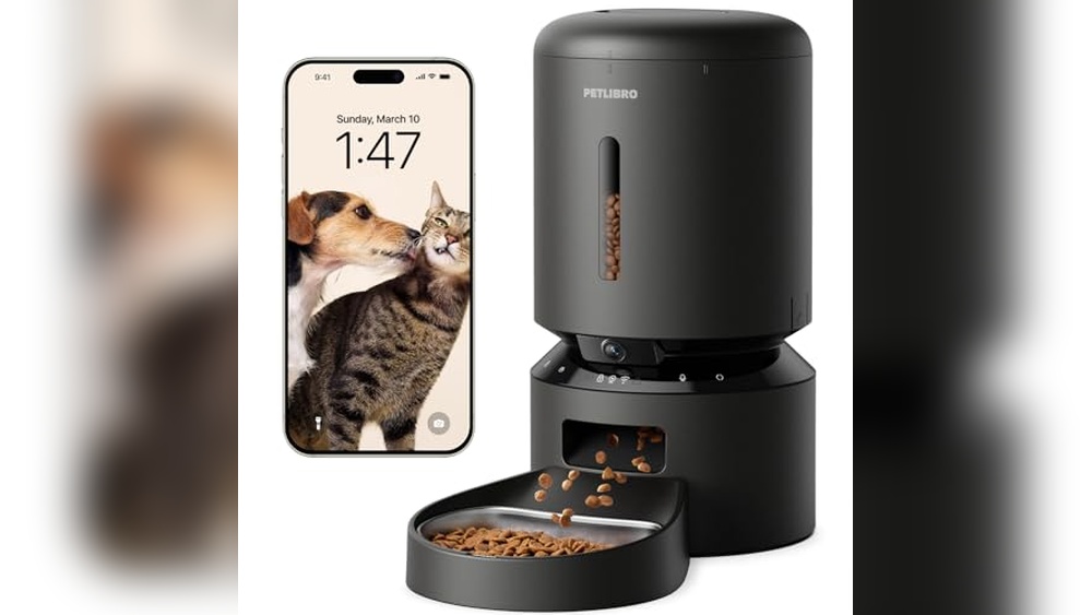 Best Slow Feed Maze Dog Bowls