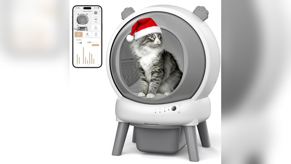 Best Self Cleaning Cat Litter Box for Multiple Cats