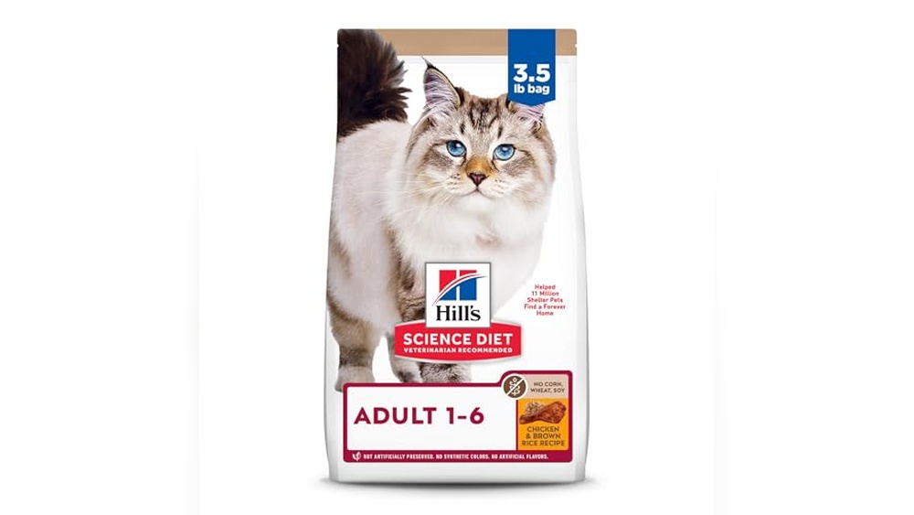 Best Cat Food Without Corn Wheat Soy