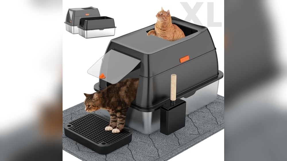 Best Extra Large Cat Litter Box